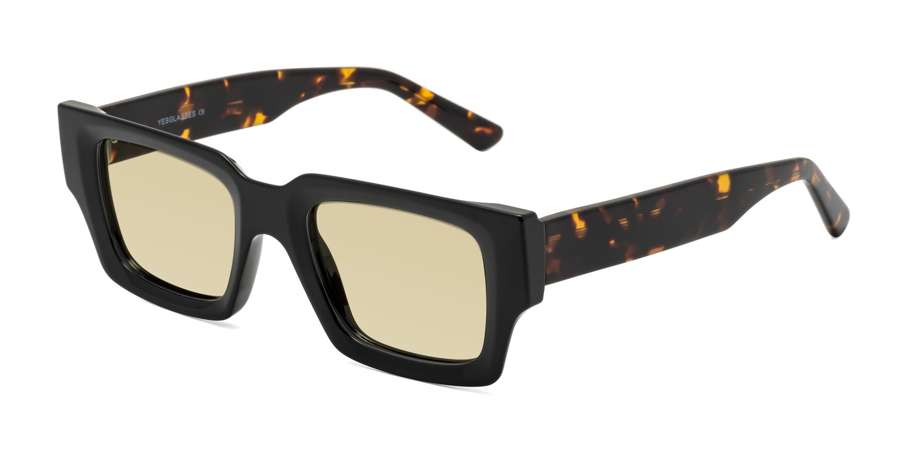 Angle of Iceberg in Black-Tortoise with Light Champagne Tinted Lenses