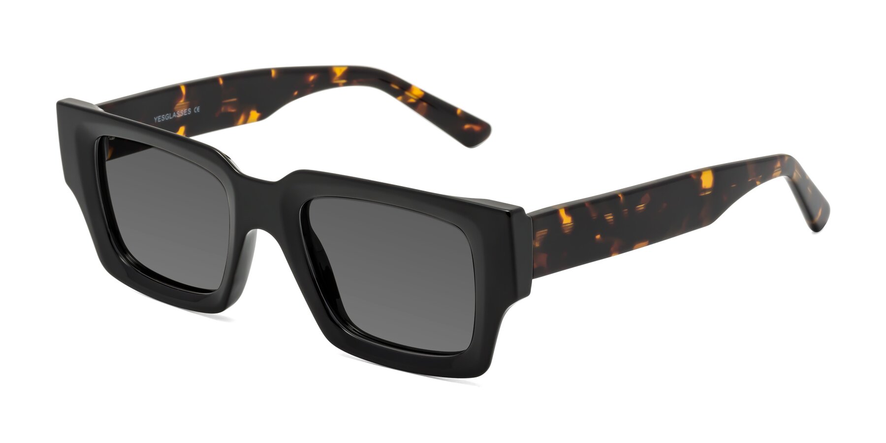 Angle of Iceberg in Black-Tortoise with Medium Gray Tinted Lenses