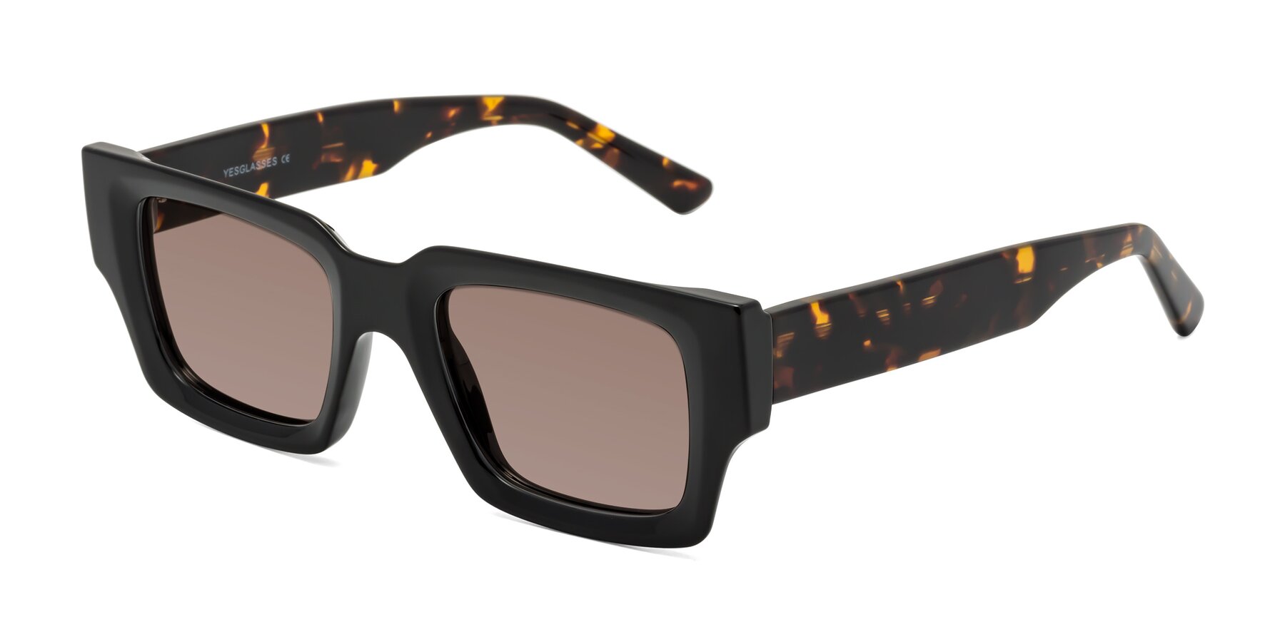 Angle of Iceberg in Black-Tortoise with Medium Brown Tinted Lenses