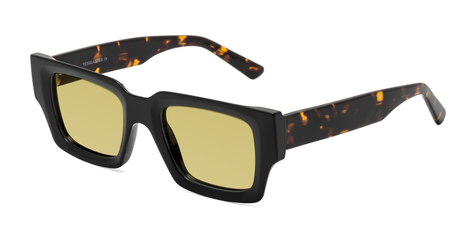 Angle of Iceberg in Black-Tortoise with Medium Champagne Tinted Lenses