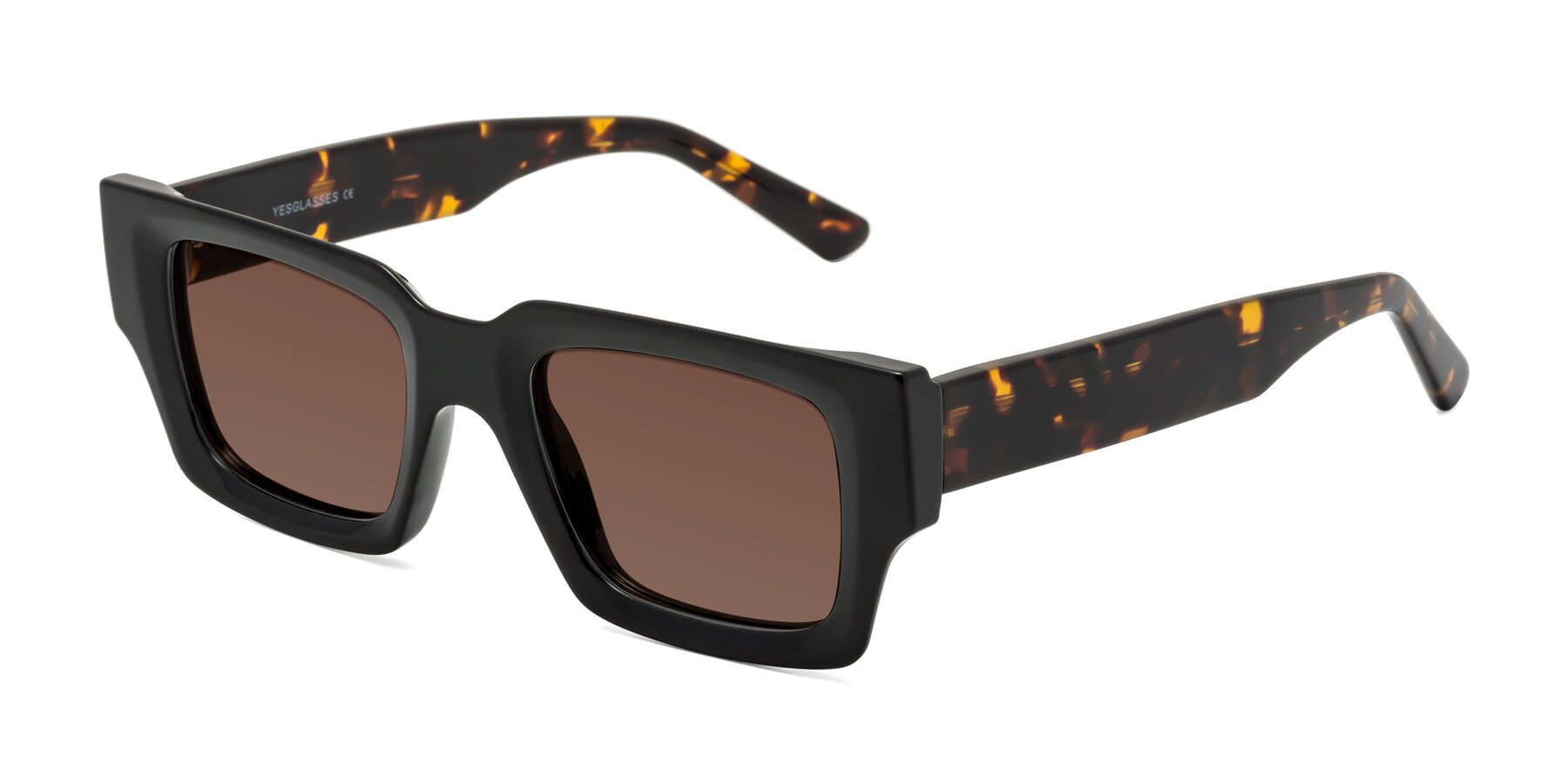 Angle of Iceberg in Black-Tortoise with Brown Tinted Lenses