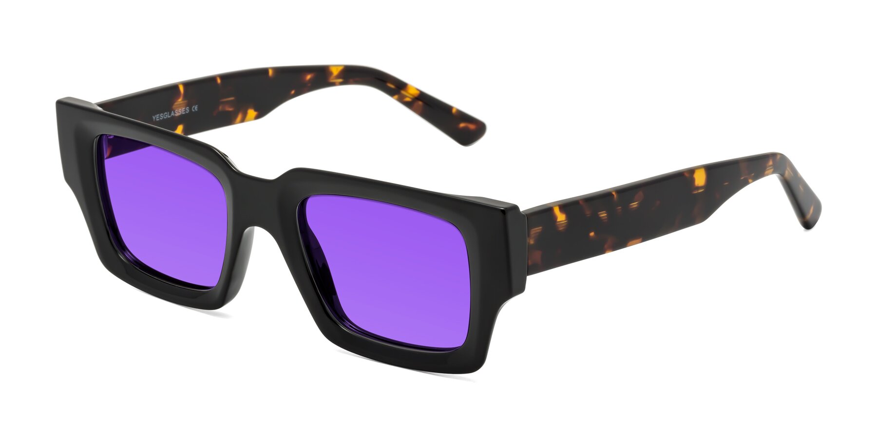 Angle of Iceberg in Black-Tortoise with Purple Tinted Lenses