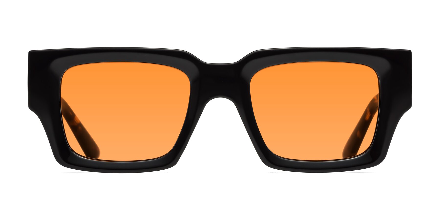 Iceberg - Black / Tortoise Sunglasses