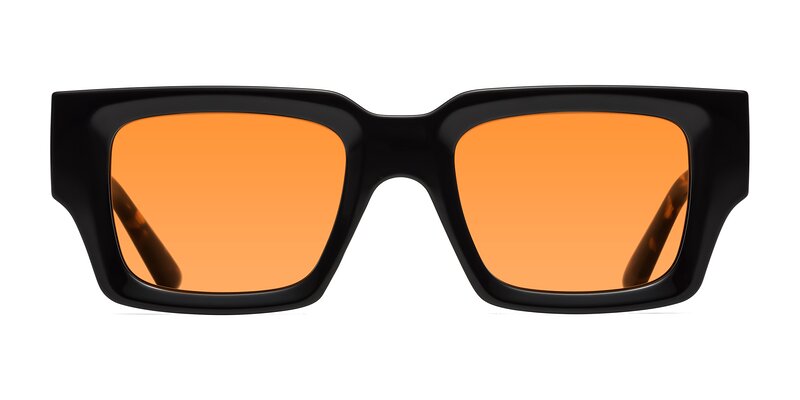 Iceberg - Black / Tortoise Tinted Sunglasses