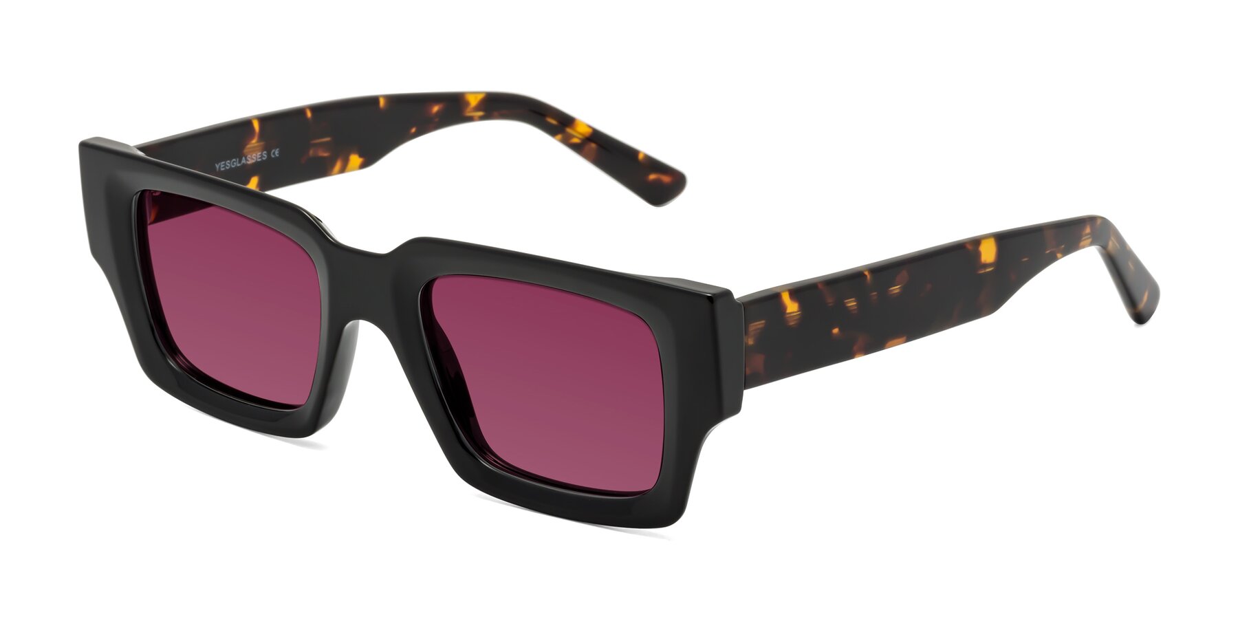 Angle of Iceberg in Black-Tortoise with Wine Tinted Lenses