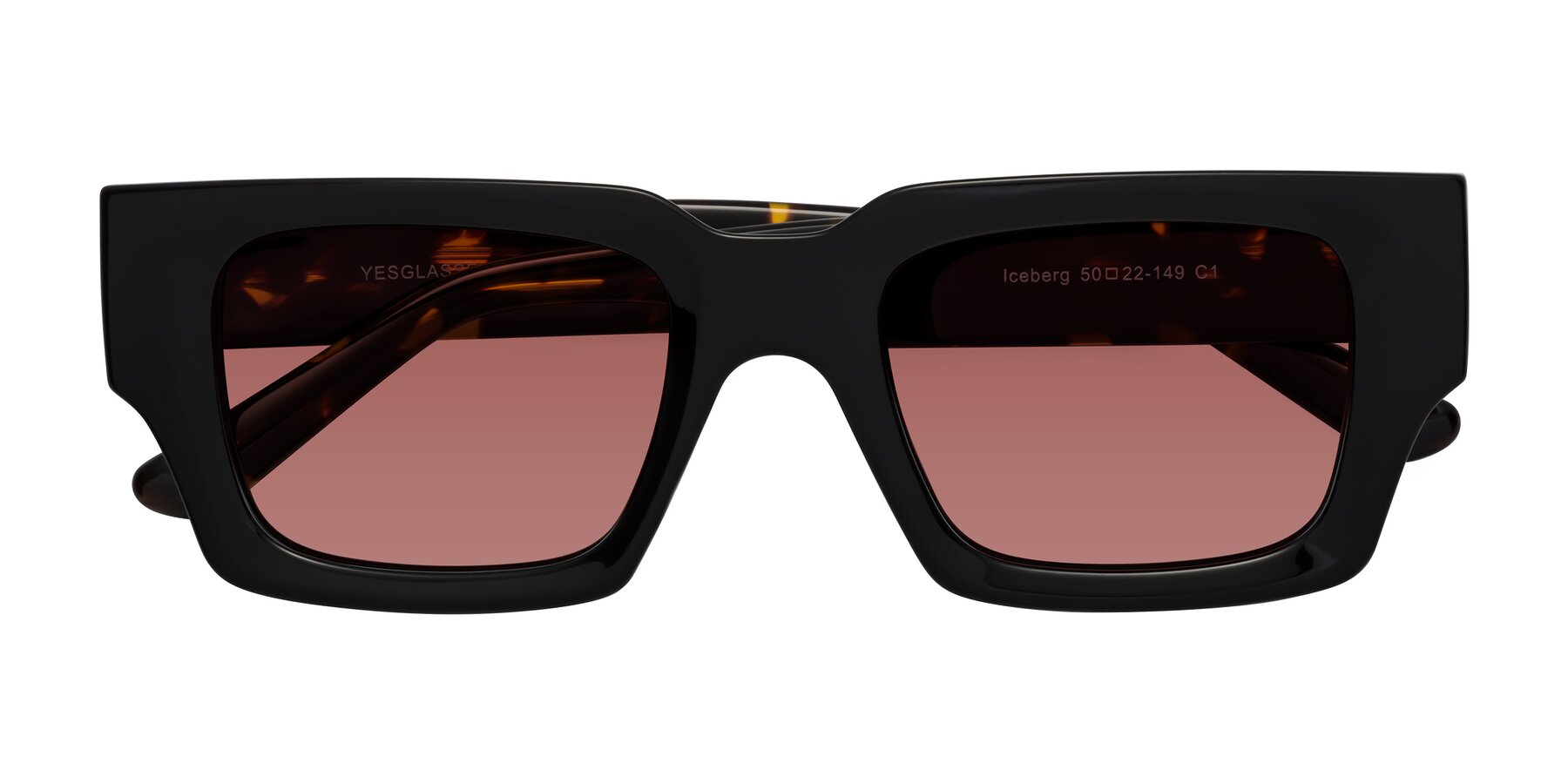 Folded Front of Iceberg in Black-Tortoise with Garnet Tinted Lenses