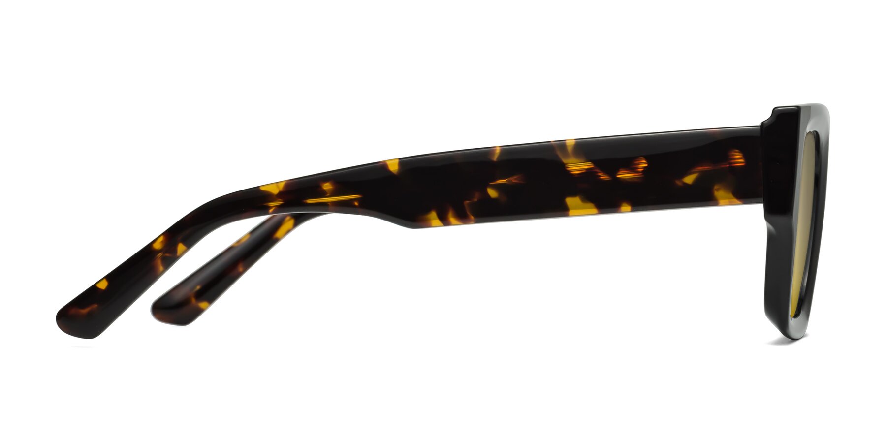 Side of Iceberg in Black-Tortoise with Gold Mirrored Lenses