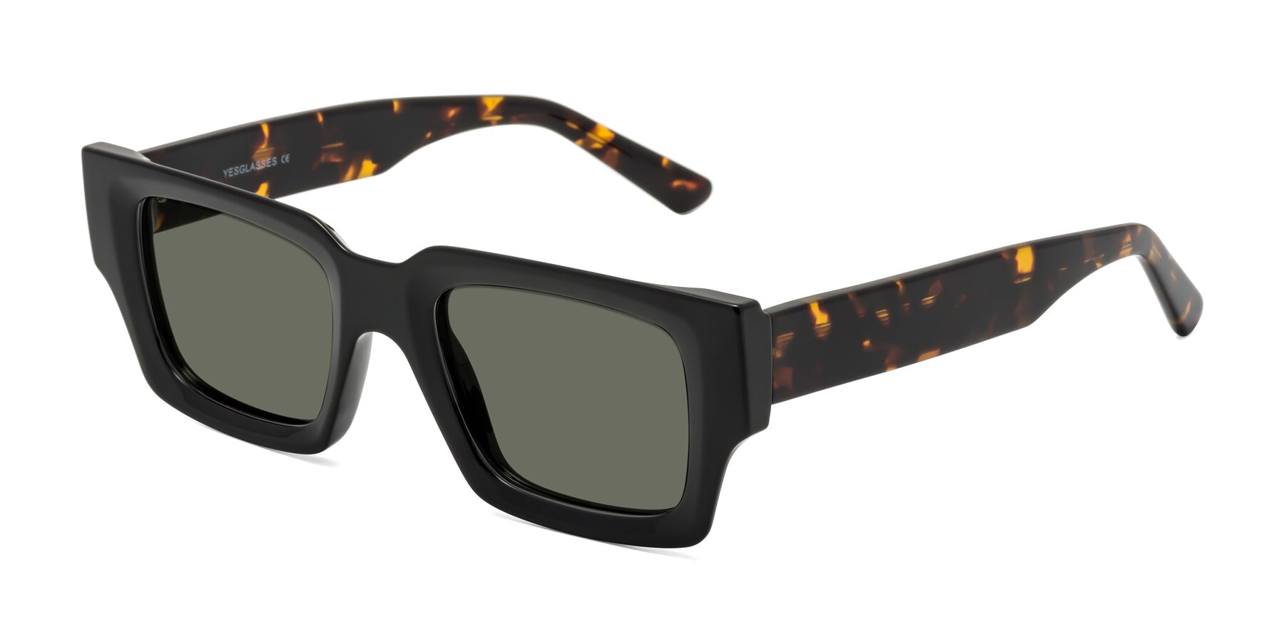 Angle of Iceberg in Black-Tortoise with Gray Polarized Lenses