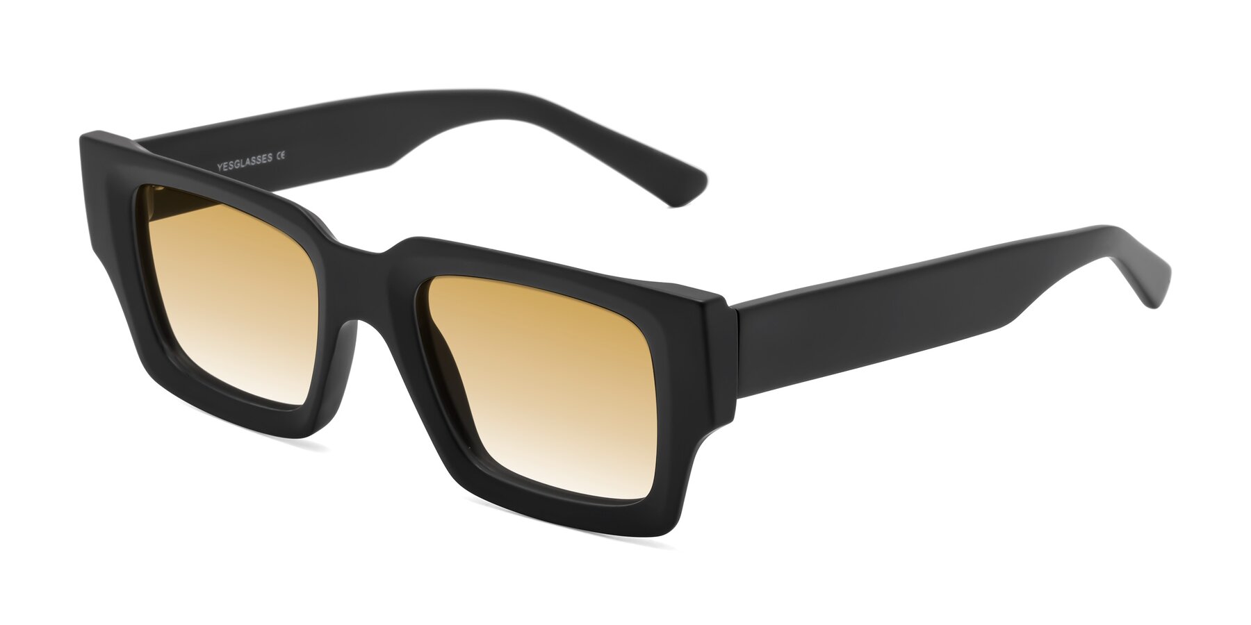 Angle of Iceberg in Matte Black with Champagne Gradient Lenses