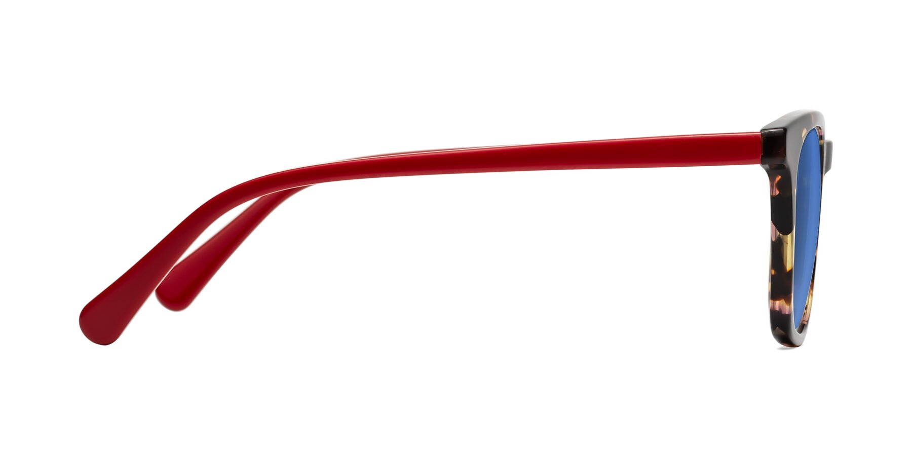 Side of Polite in Tortoise/Red with Blue Tinted Lenses