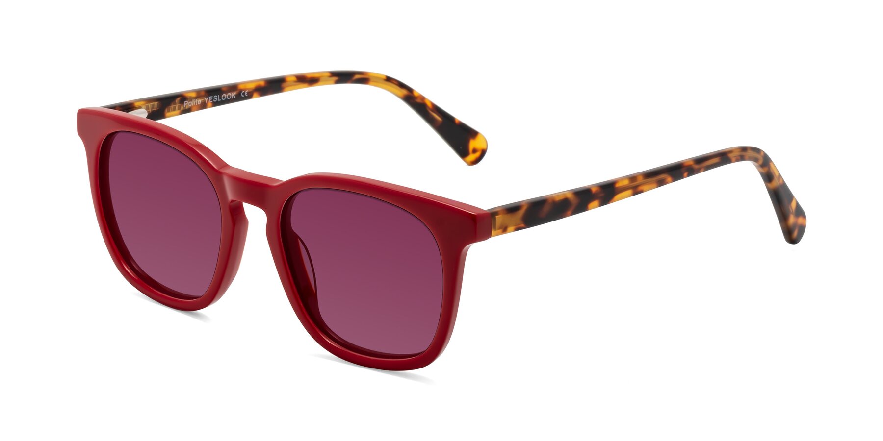 Angle of Polite in Red-Tortoise with Wine Tinted Lenses