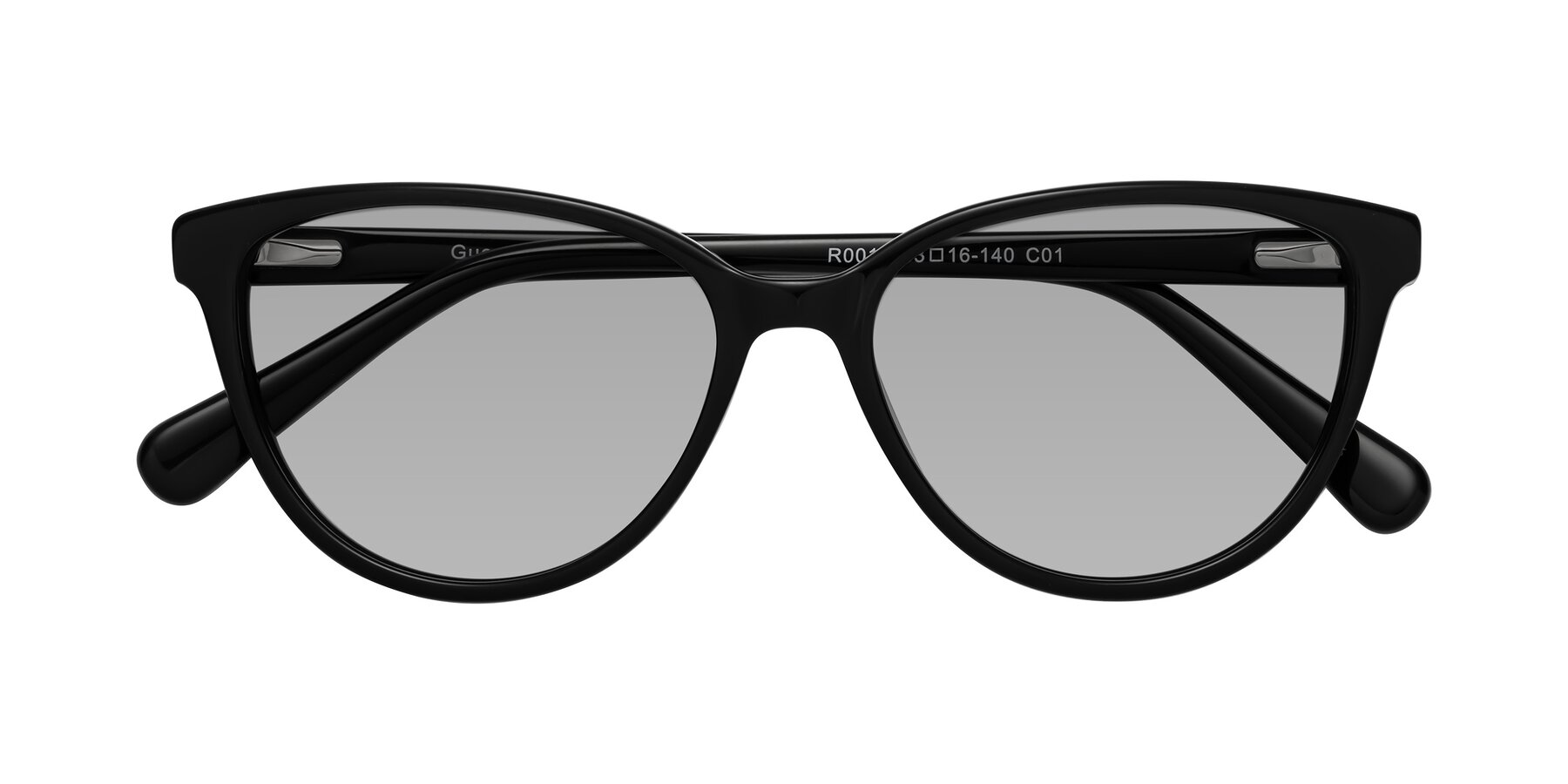 Folded Front of Guest in Black with Light Gray Tinted Lenses