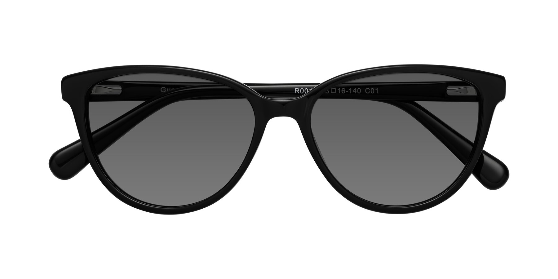 Folded Front of Guest in Black with Medium Gray Tinted Lenses