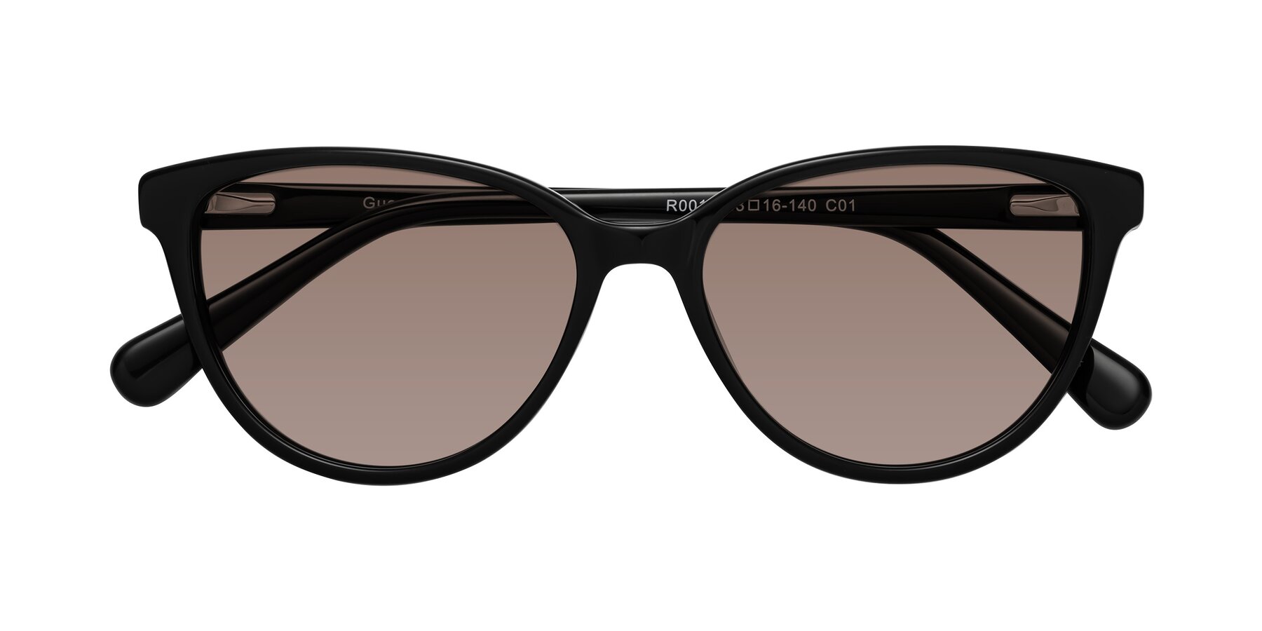 Folded Front of Guest in Black with Medium Brown Tinted Lenses