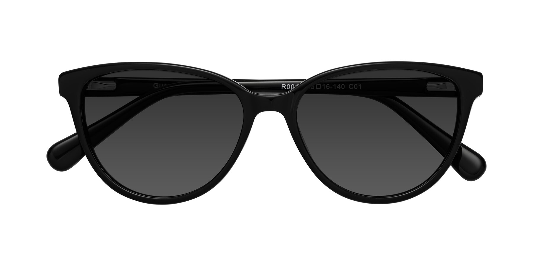 Folded Front of Guest in Black with Gray Tinted Lenses