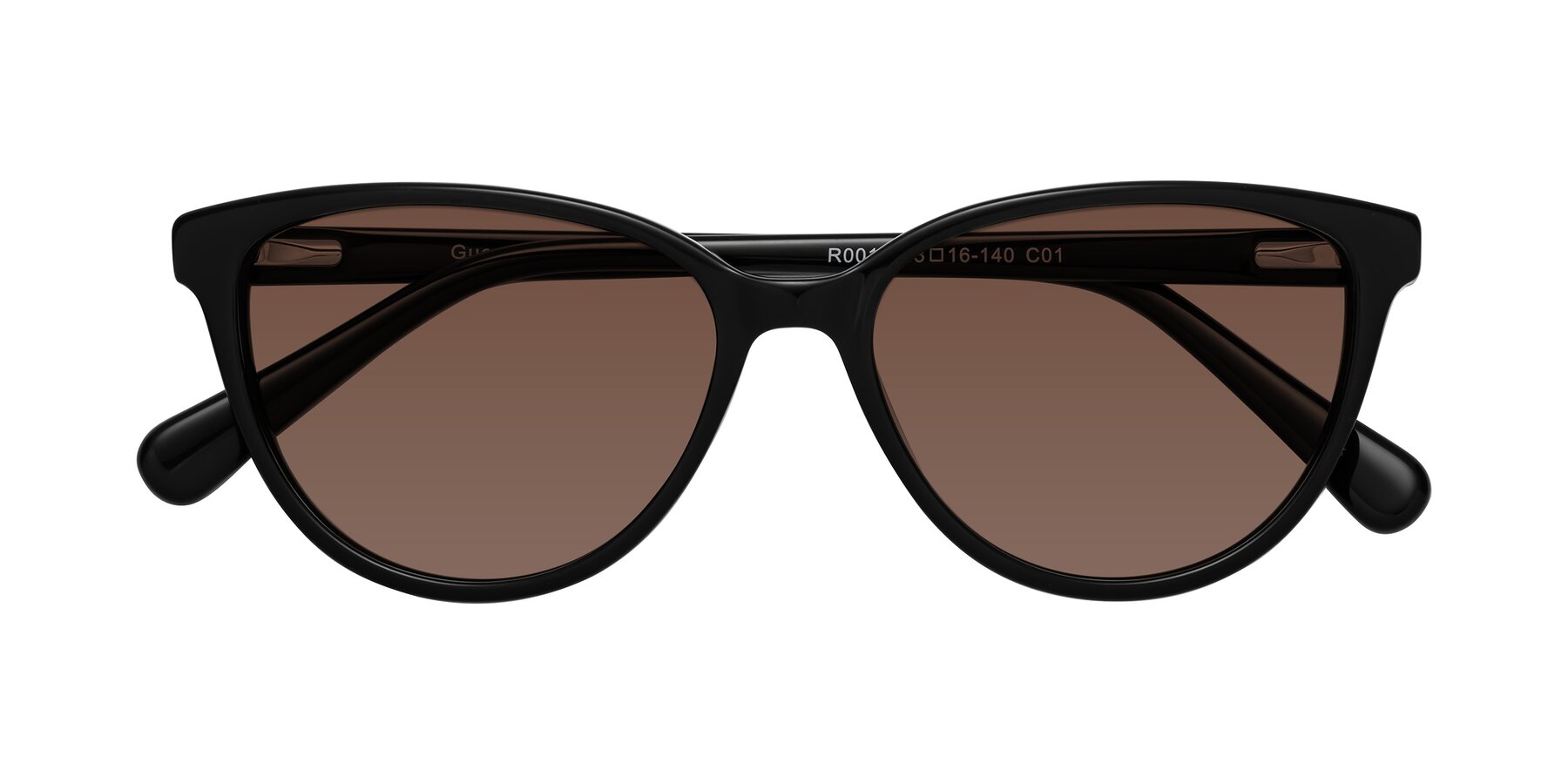 Folded Front of Guest in Black with Brown Tinted Lenses