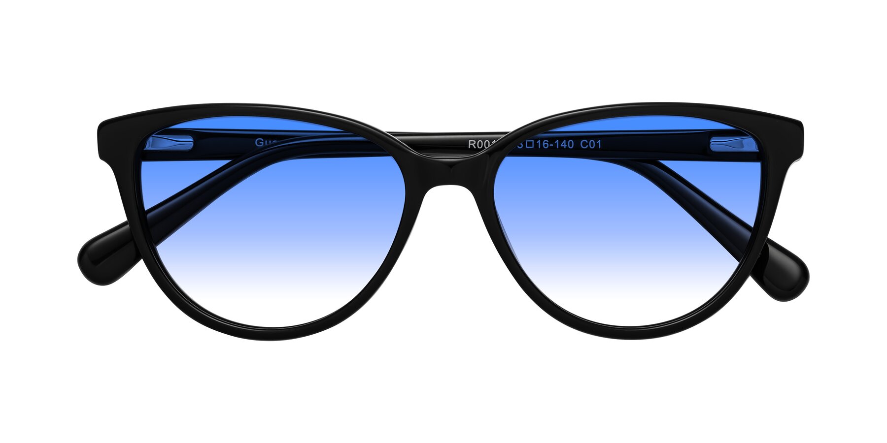 Folded Front of Guest in Black with Blue Gradient Lenses