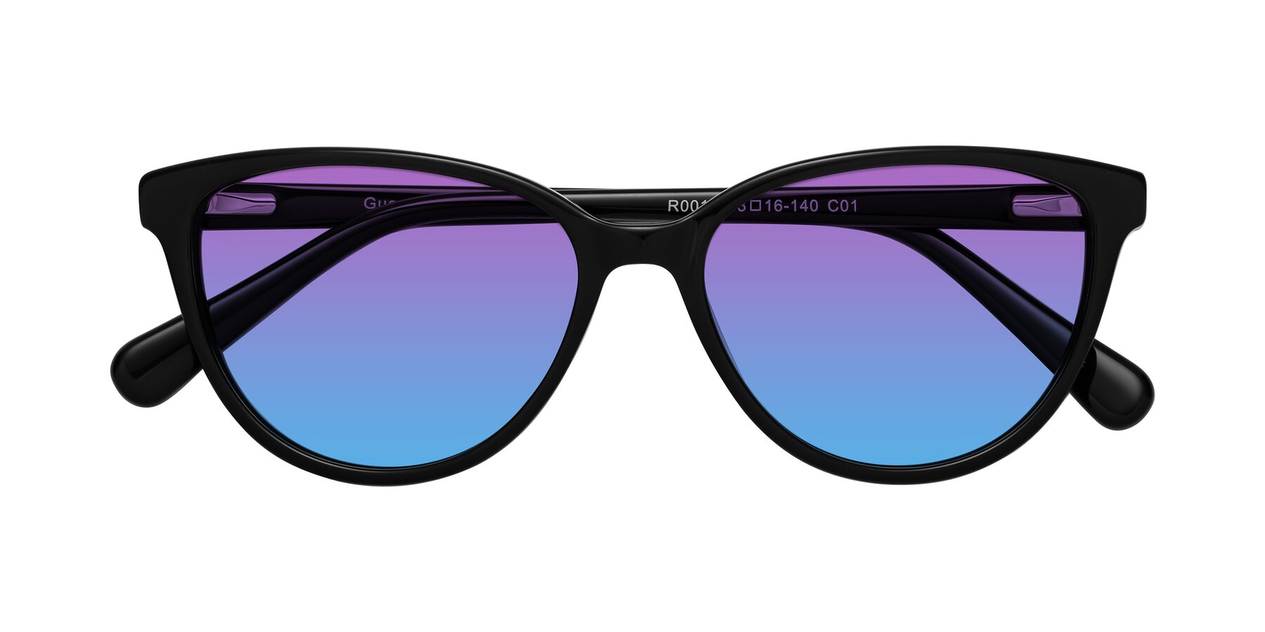 Folded Front of Guest in Black with Purple / Blue Gradient Lenses