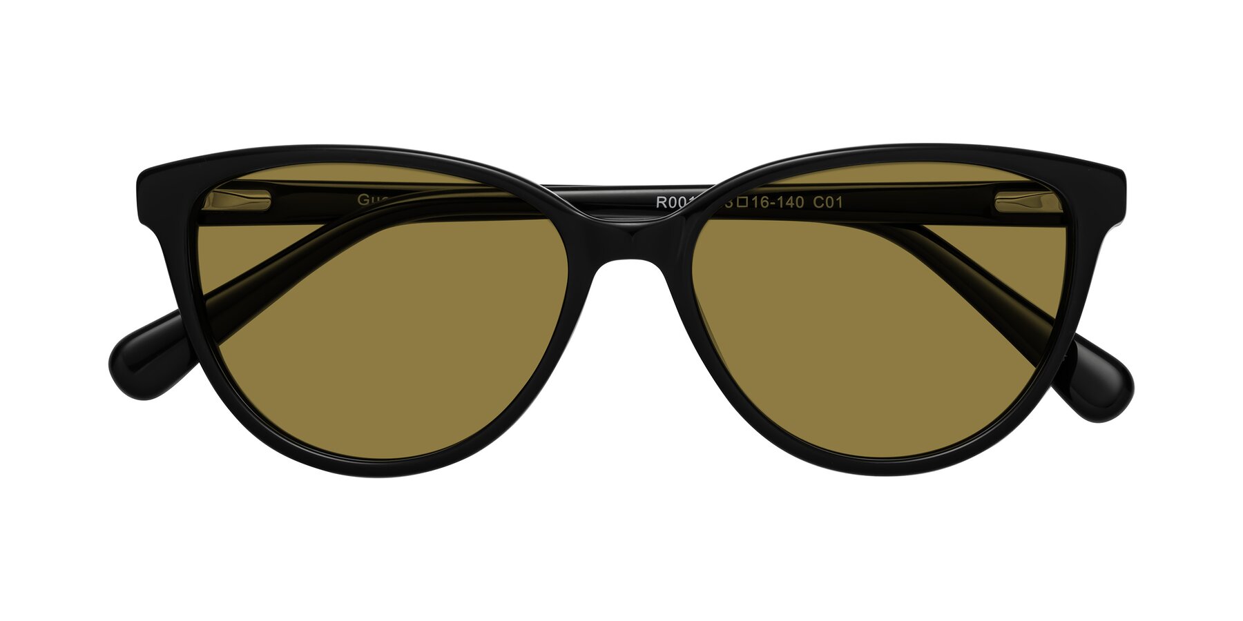 Folded Front of Guest in Black with Brown Polarized Lenses