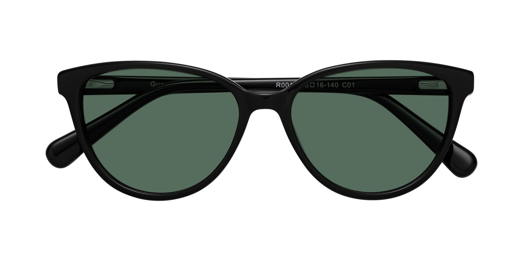 Folded Front of Guest in Black with Green Polarized Lenses