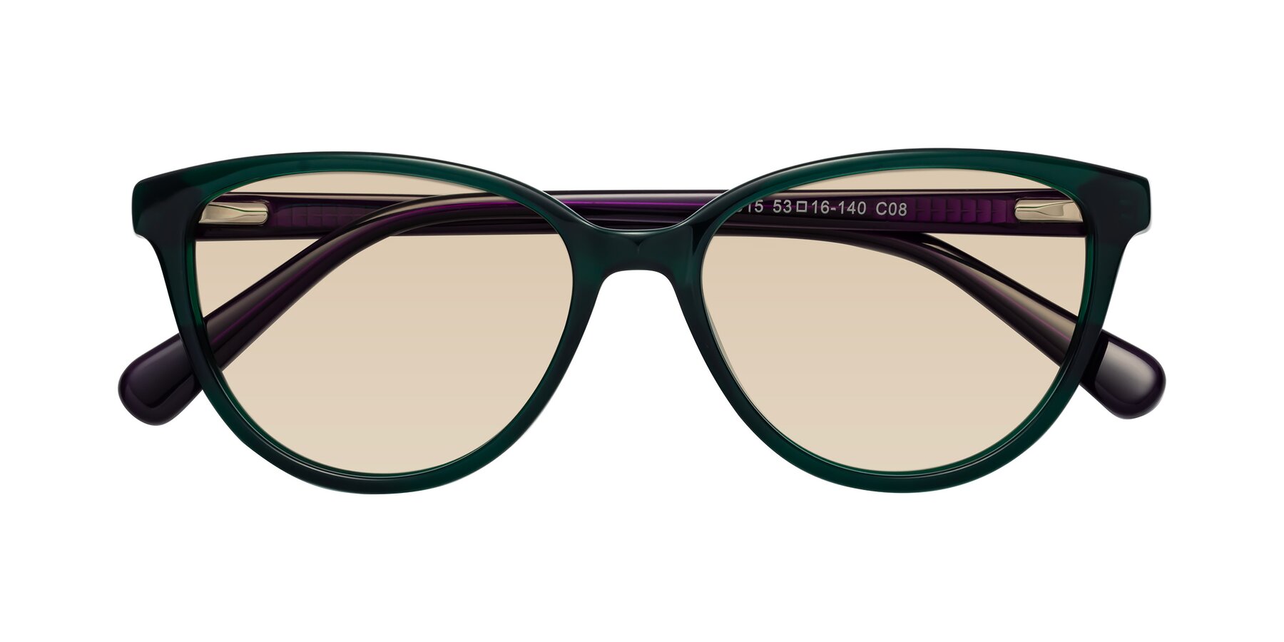 Folded Front of Guest in Green-Purple with Light Brown Tinted Lenses