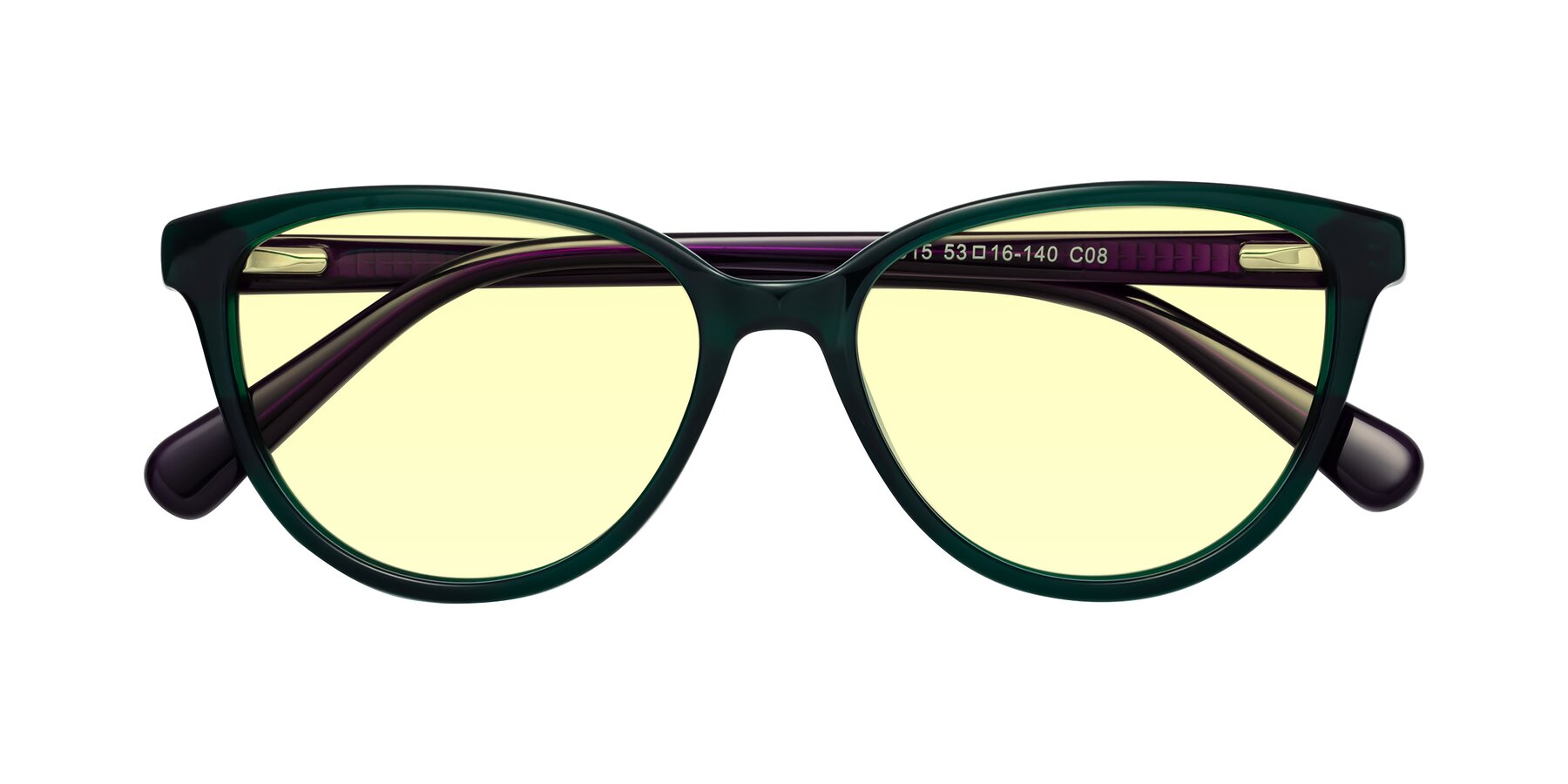 Folded Front of Guest in Green-Purple with Light Yellow Tinted Lenses