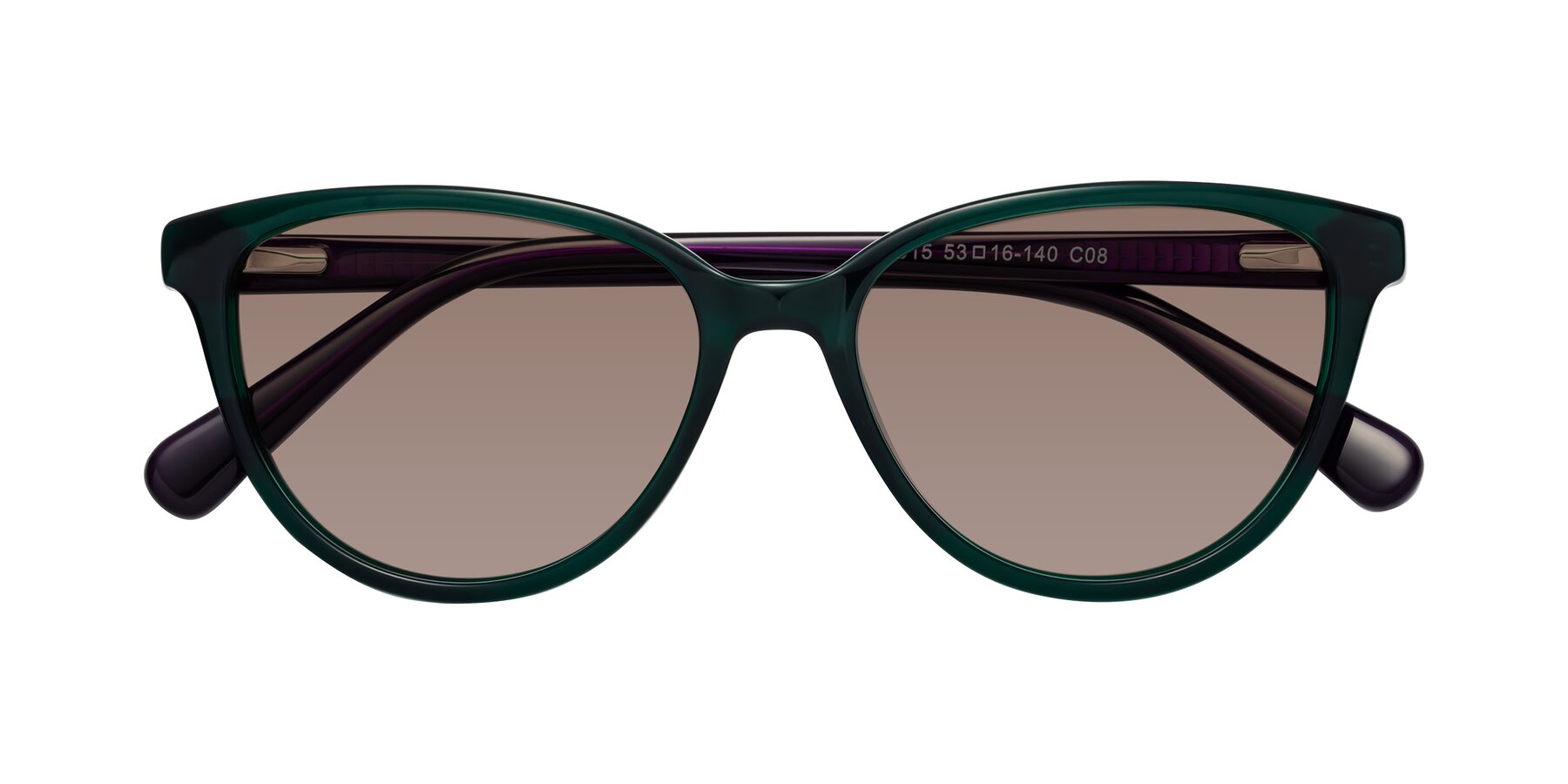 Folded Front of Guest in Green-Purple with Medium Brown Tinted Lenses