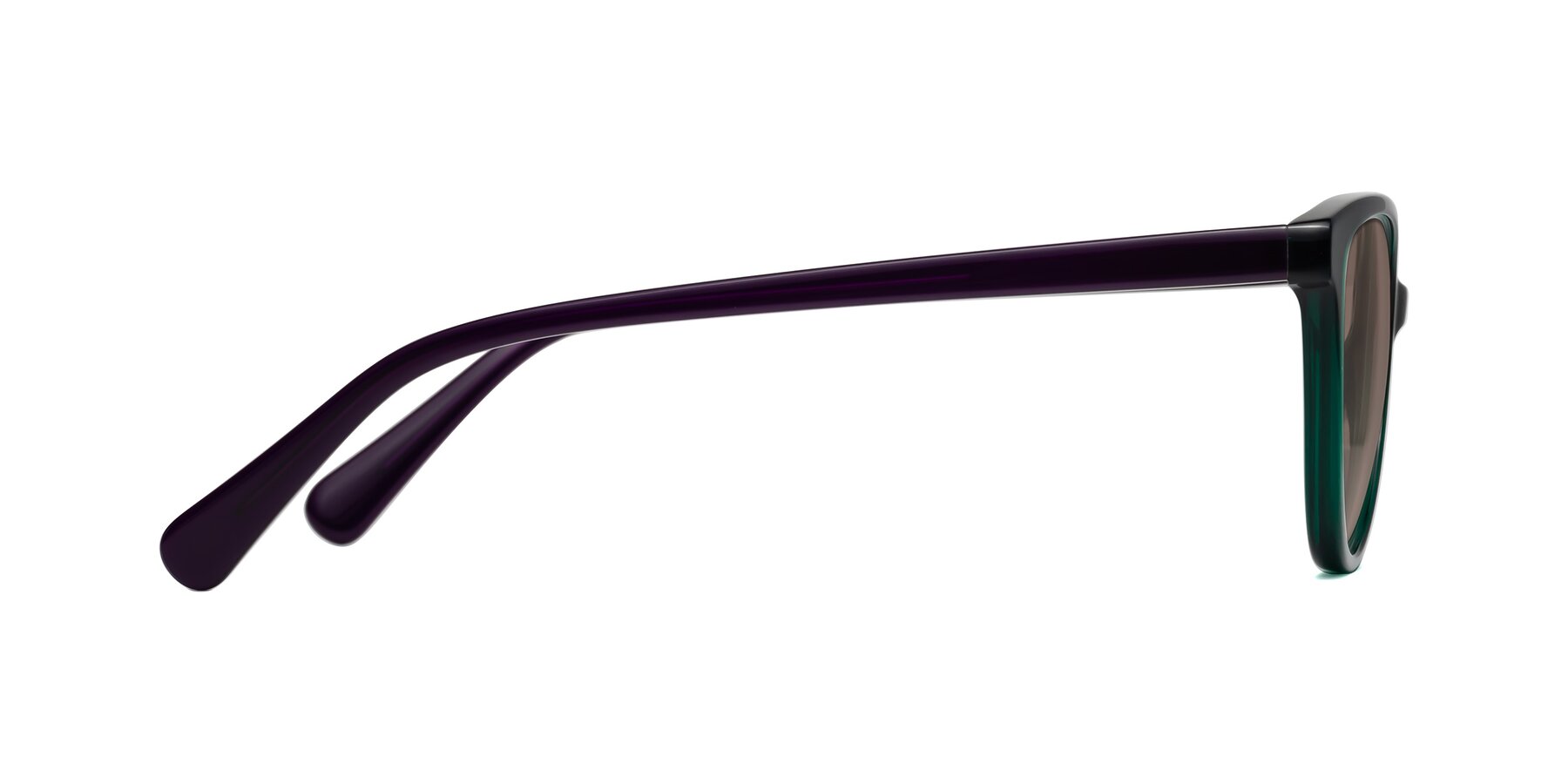 Side of Guest in Green-Purple with Medium Brown Tinted Lenses