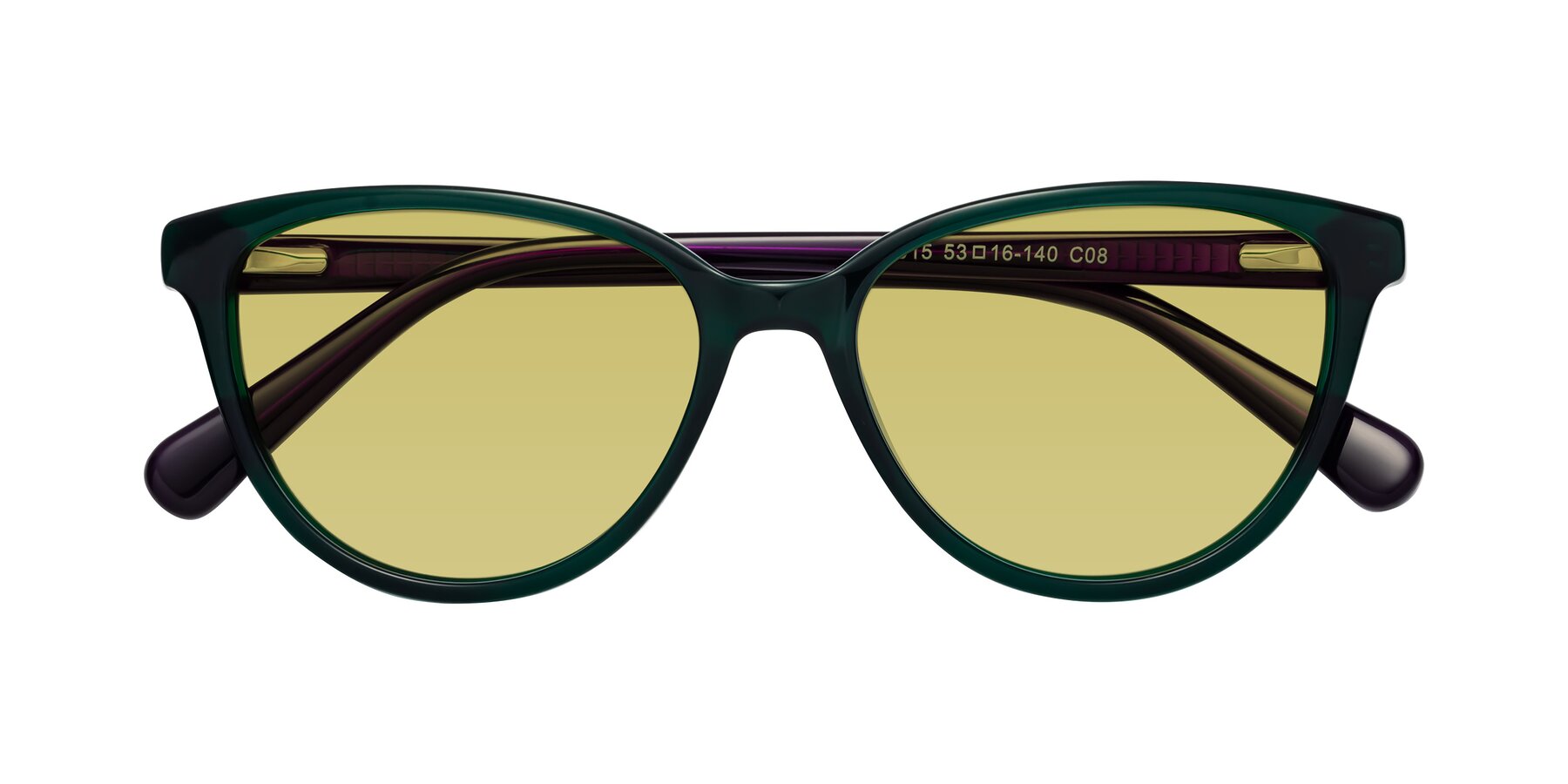 Folded Front of Guest in Green-Purple with Medium Champagne Tinted Lenses