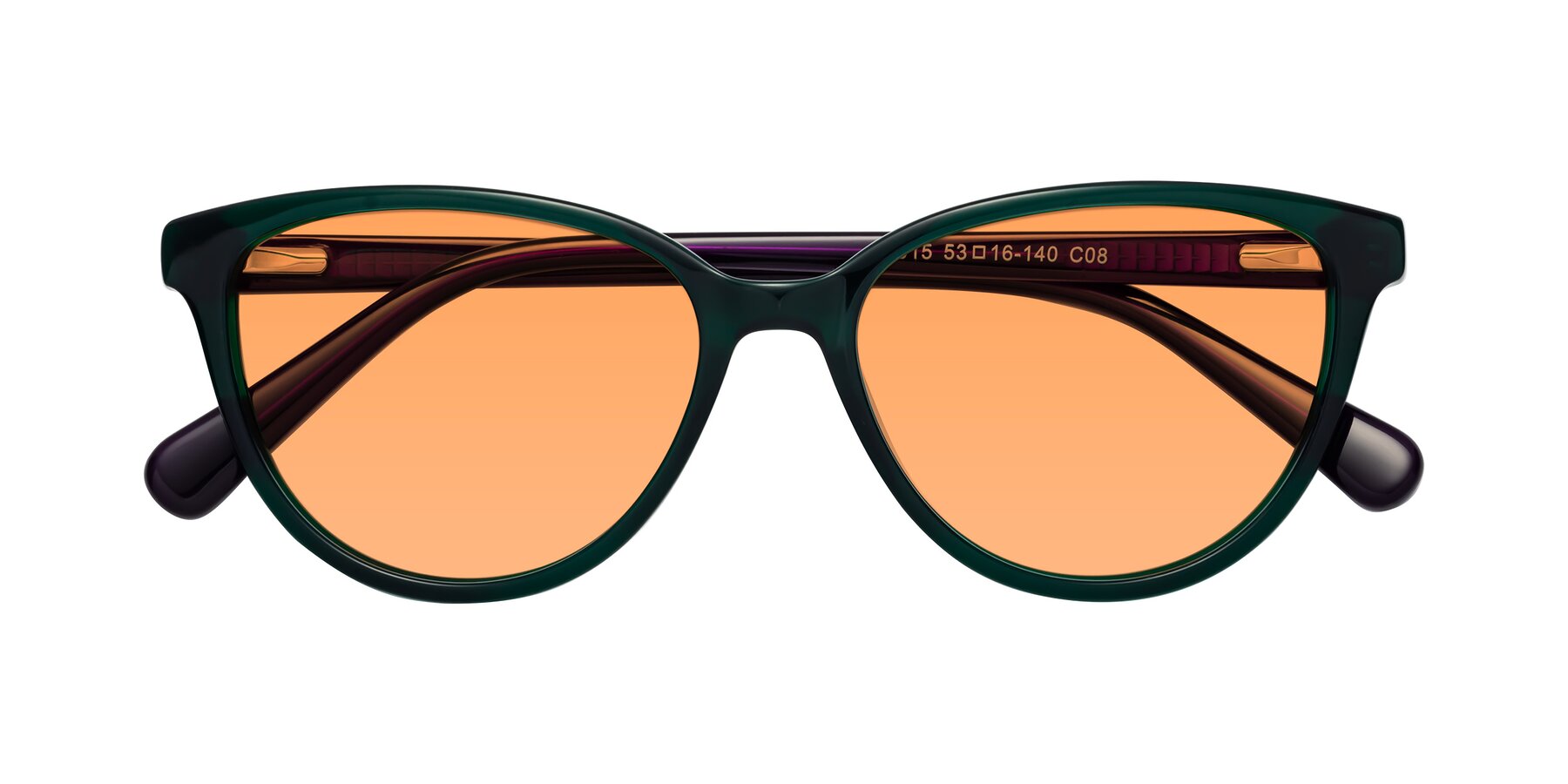 Folded Front of Guest in Green-Purple with Medium Orange Tinted Lenses