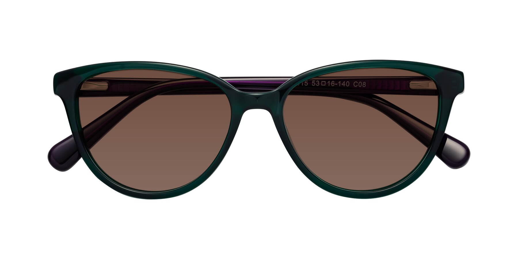 Folded Front of Guest in Green-Purple with Brown Tinted Lenses