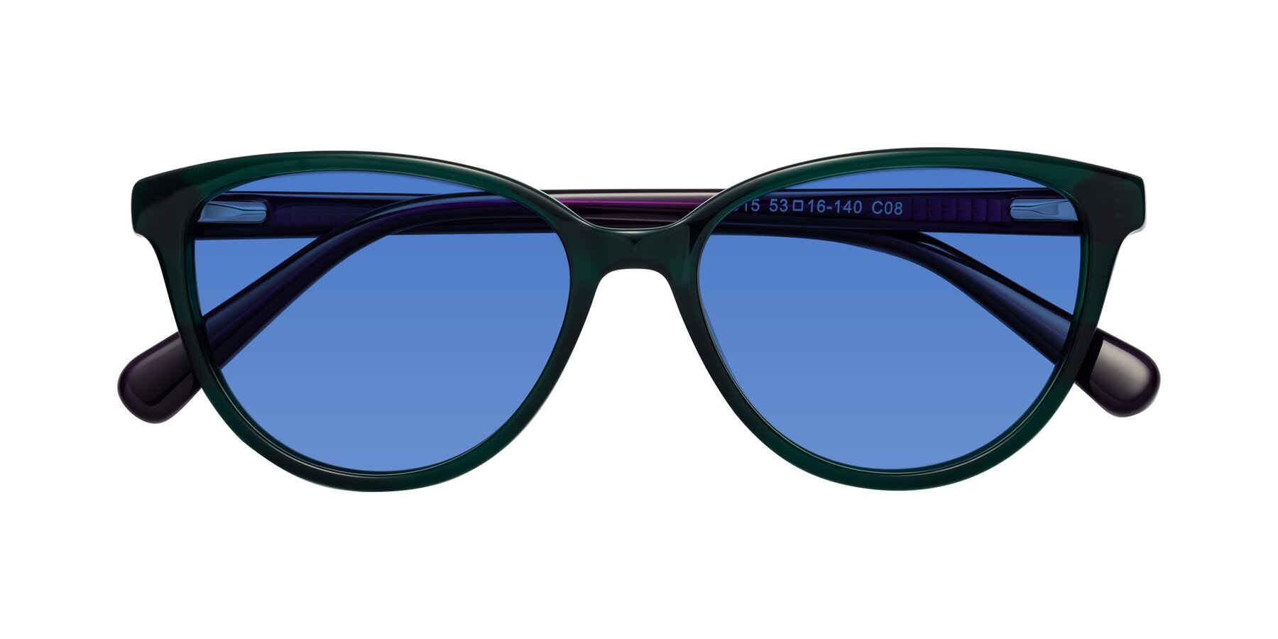 Folded Front of Guest in Green-Purple with Blue Tinted Lenses