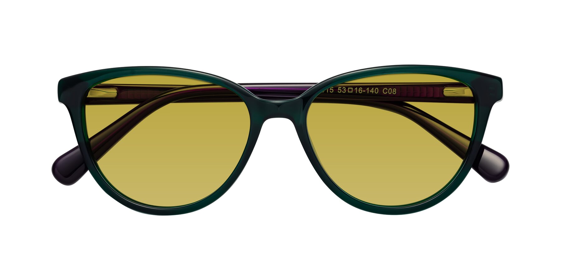 Folded Front of Guest in Green-Purple with Champagne Tinted Lenses