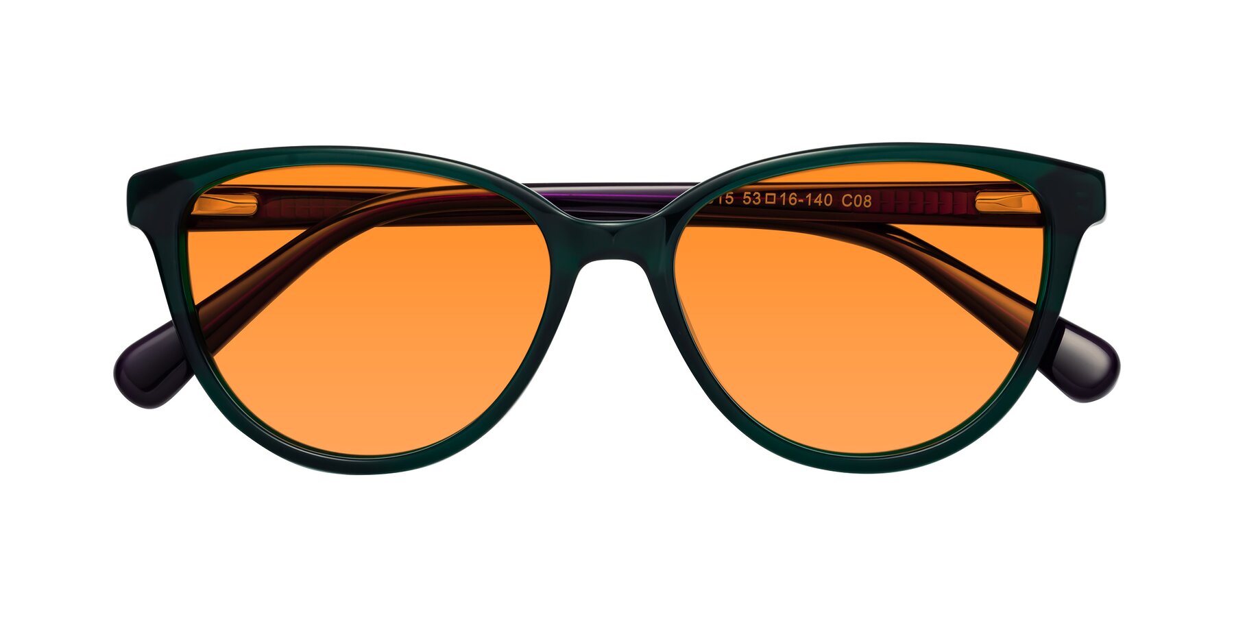 Folded Front of Guest in Green-Purple with Orange Tinted Lenses