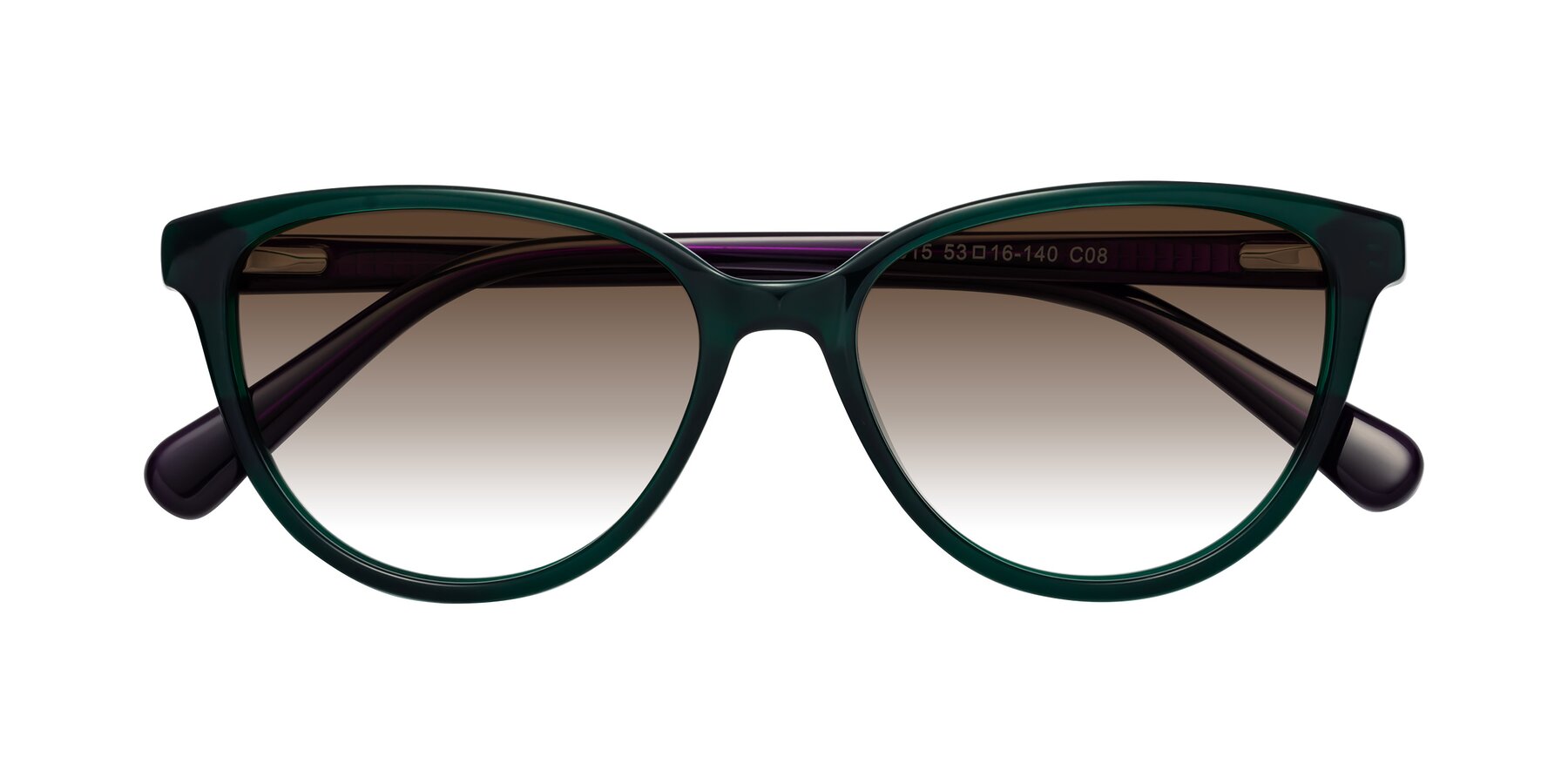 Folded Front of Guest in Green-Purple with Brown Gradient Lenses