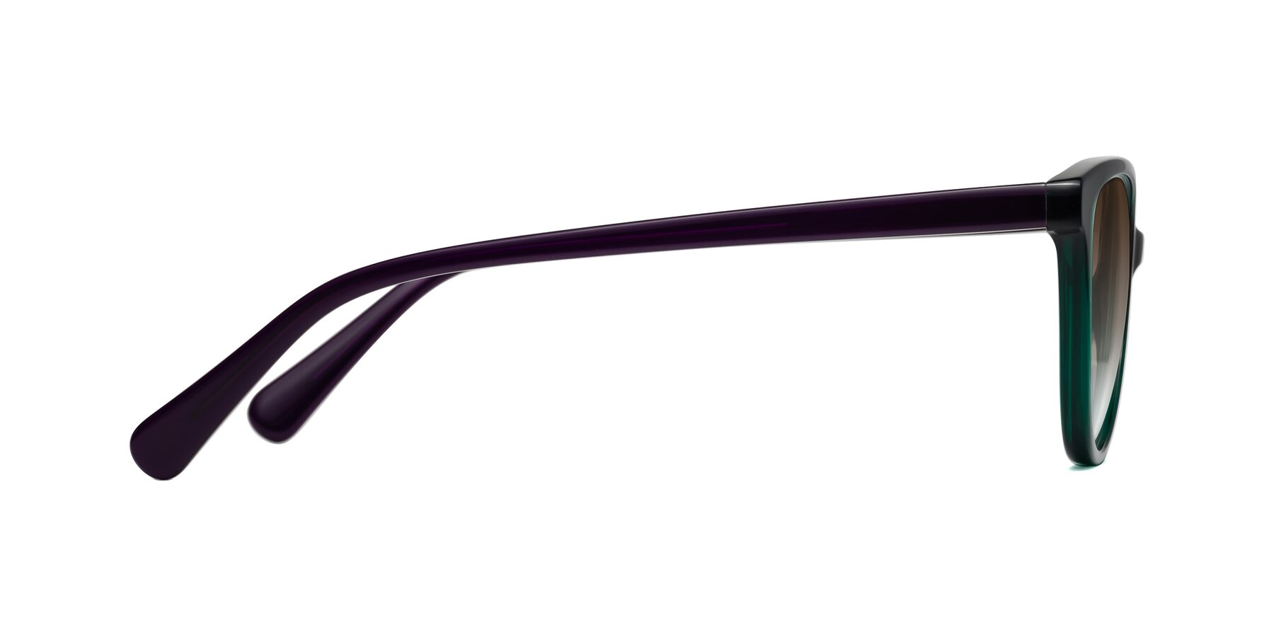 Side of Guest in Green-Purple with Brown Gradient Lenses