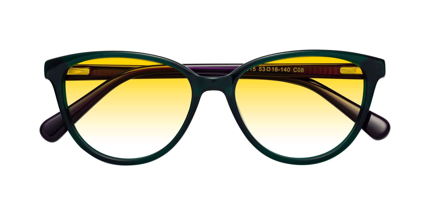 Folded Front of Guest in Green-Purple with Yellow Gradient Lenses