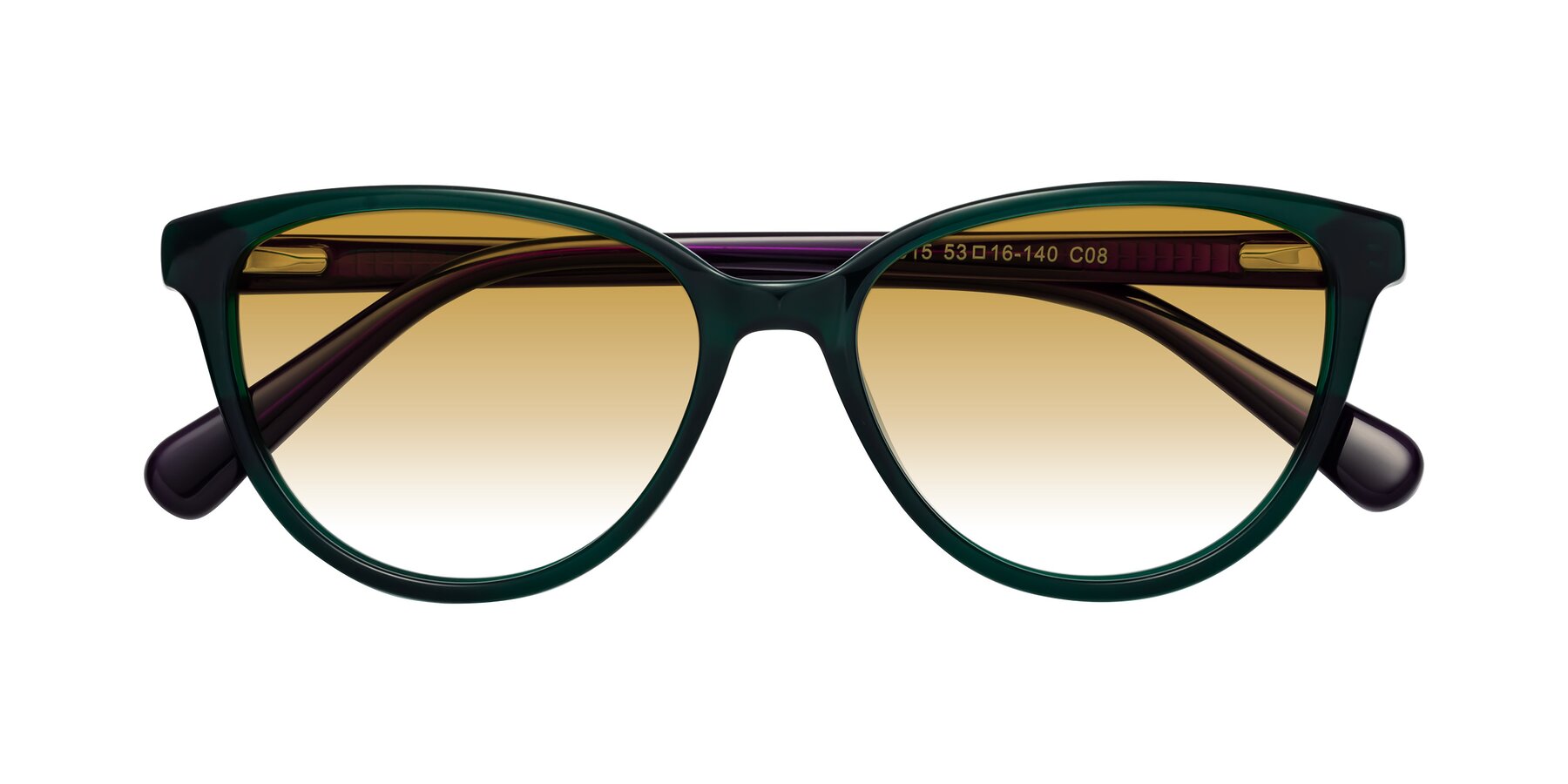 Folded Front of Guest in Green-Purple with Champagne Gradient Lenses