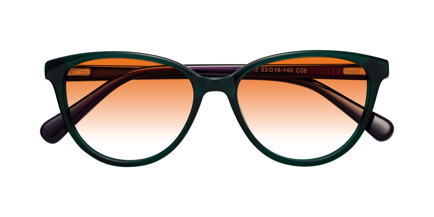 Folded Front of Guest in Green-Purple with Orange Gradient Lenses