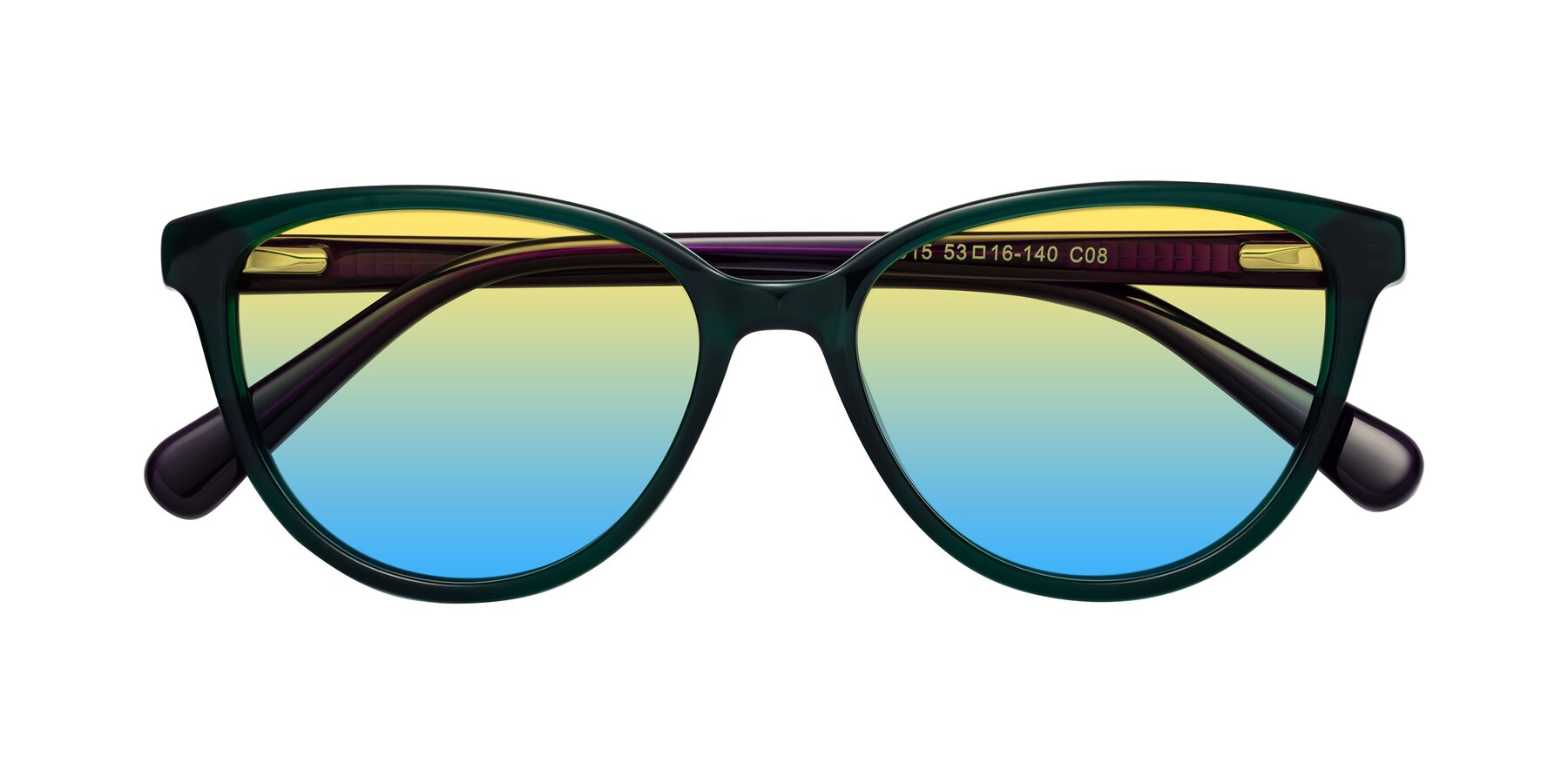 Folded Front of Guest in Green-Purple with Yellow / Blue Gradient Lenses