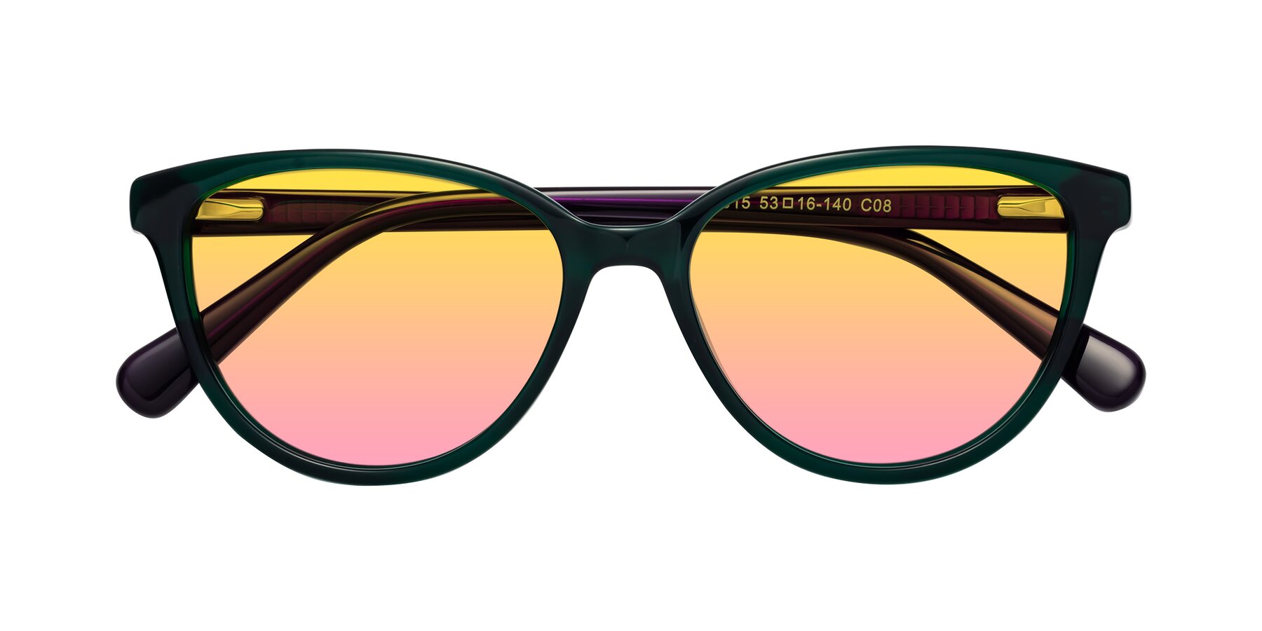 Folded Front of Guest in Green-Purple with Yellow / Pink Gradient Lenses