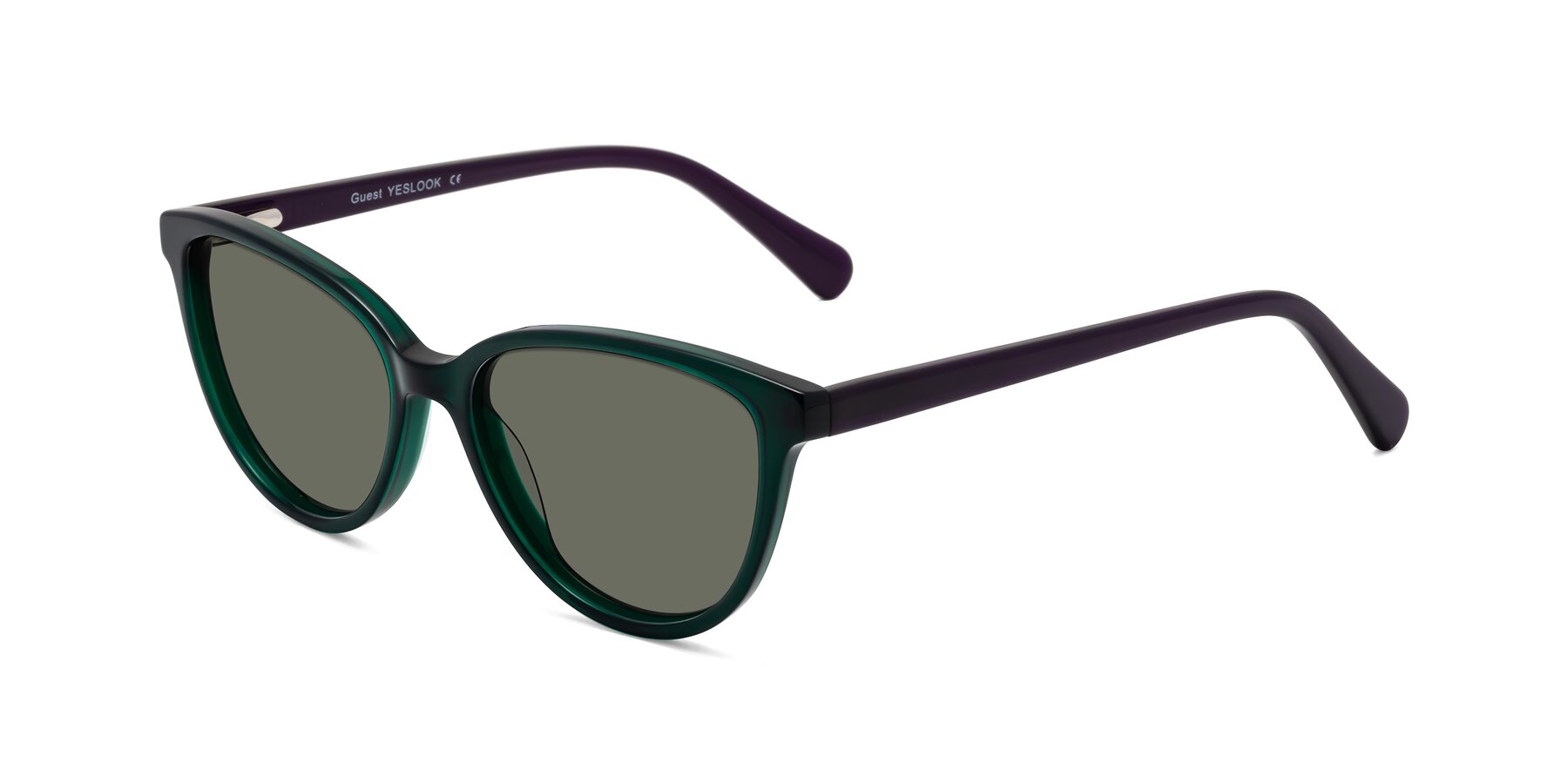 Angle of Guest in Green-Purple with Gray Polarized Lenses