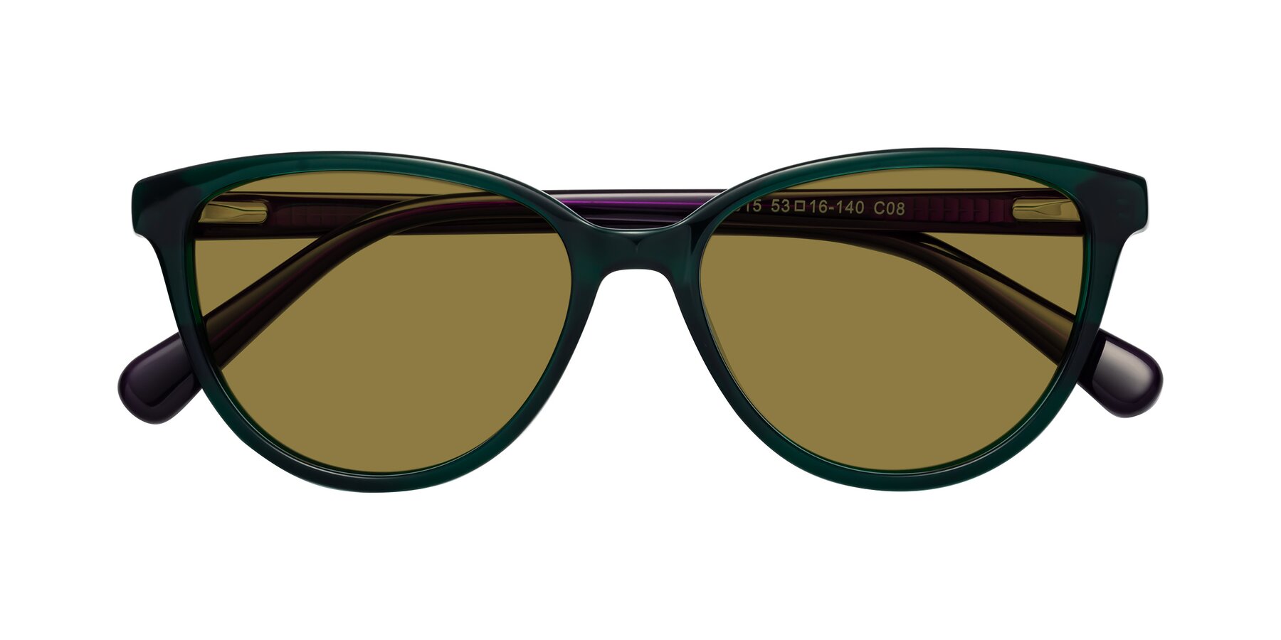 Folded Front of Guest in Green-Purple with Brown Polarized Lenses