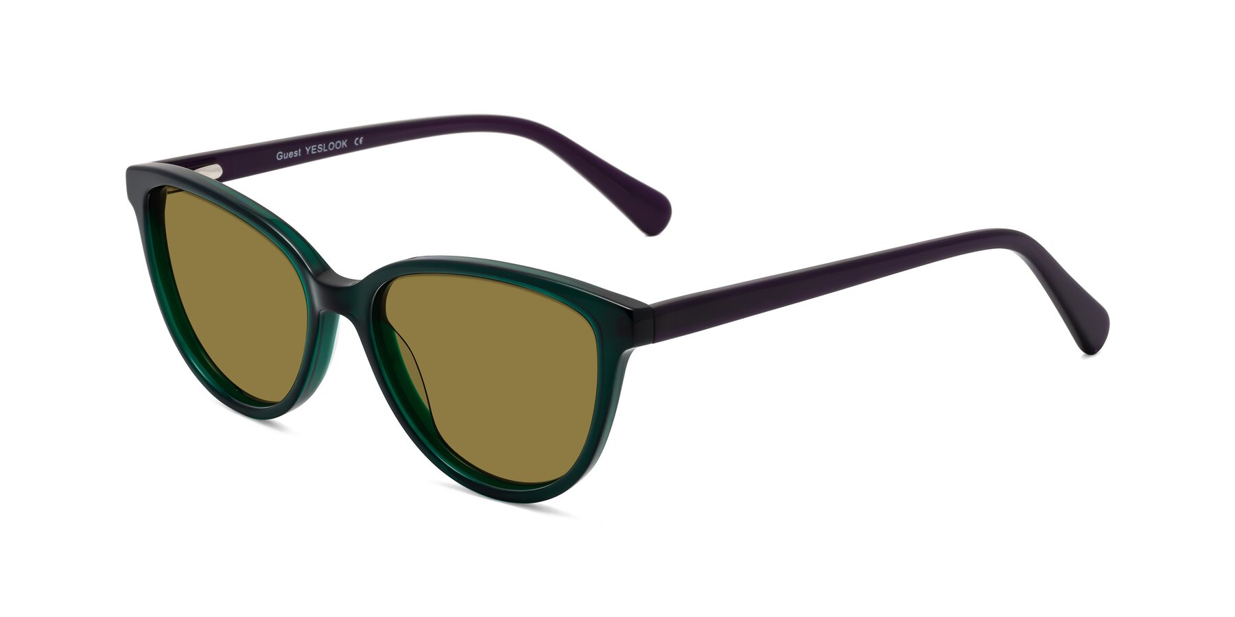 Angle of Guest in Green-Purple with Brown Polarized Lenses