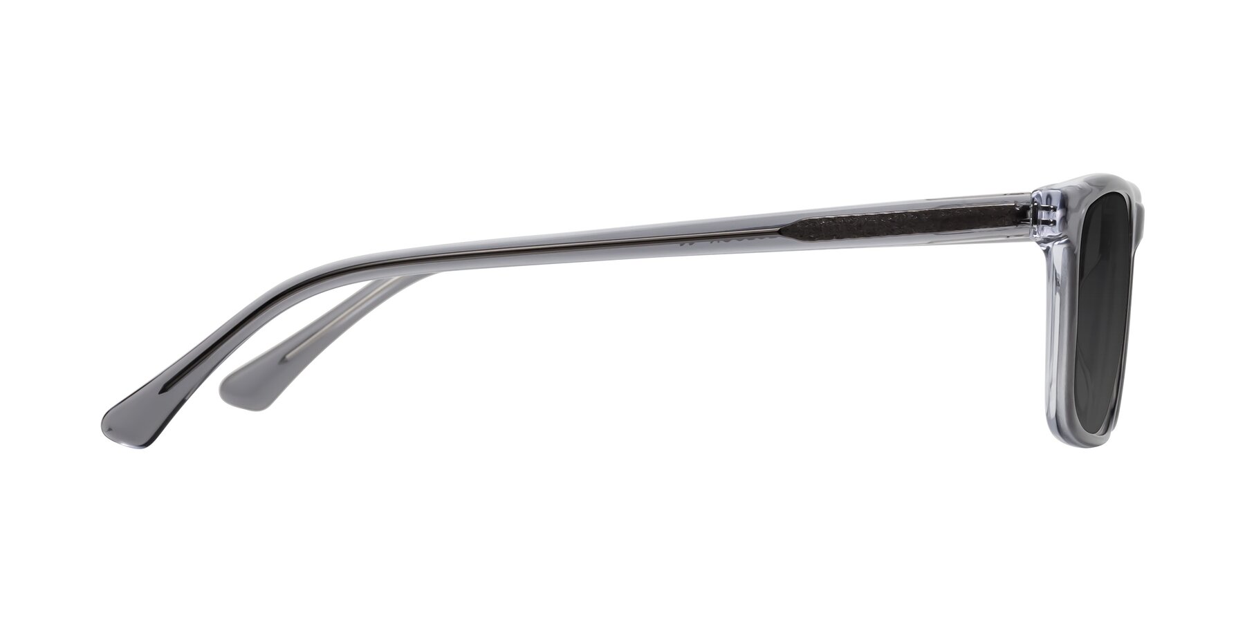 Side of Plan in Gray with Gray Tinted Lenses