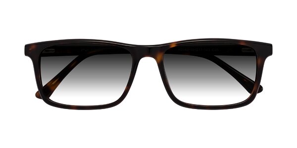 Front of Plan in Tortoise