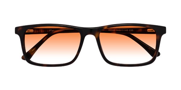 Front of Plan in Tortoise