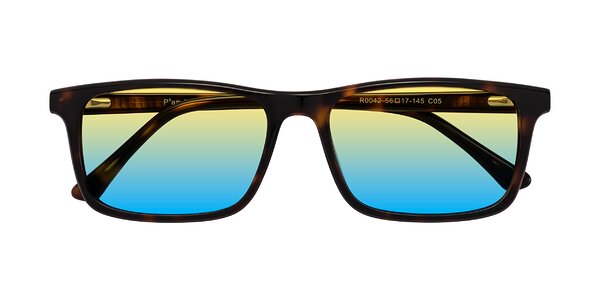 Front of Plan in Tortoise