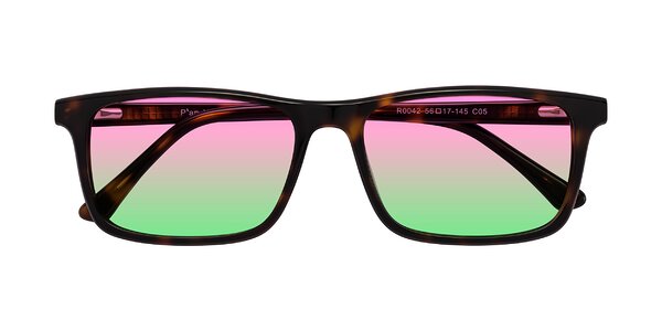 Front of Plan in Tortoise