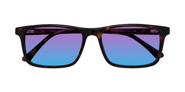 Front of Plan in Tortoise